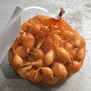 Oignon sturon - image