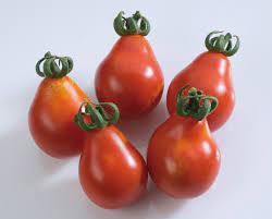 Tomate cerise Red Pear Pot 0.5L - tomate-cerise-red-pear