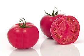 Tomate Fuji Pink Pot 0.5L - tomate-fuji-pink