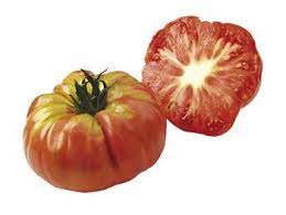 Tomate Potiron Ecarlate Pot 0,5L - tomate-potiron-ecarlate