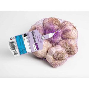 Ail germidour (ail violet) - germidour-violet-ail-a-repiquer-500gr